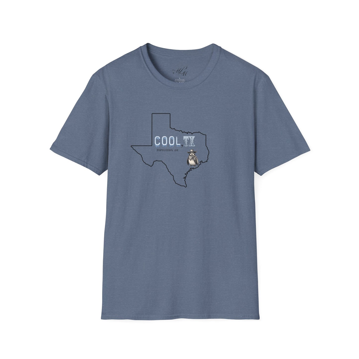 Cooler Than a Blue Norther Tee – Lone Star Chill