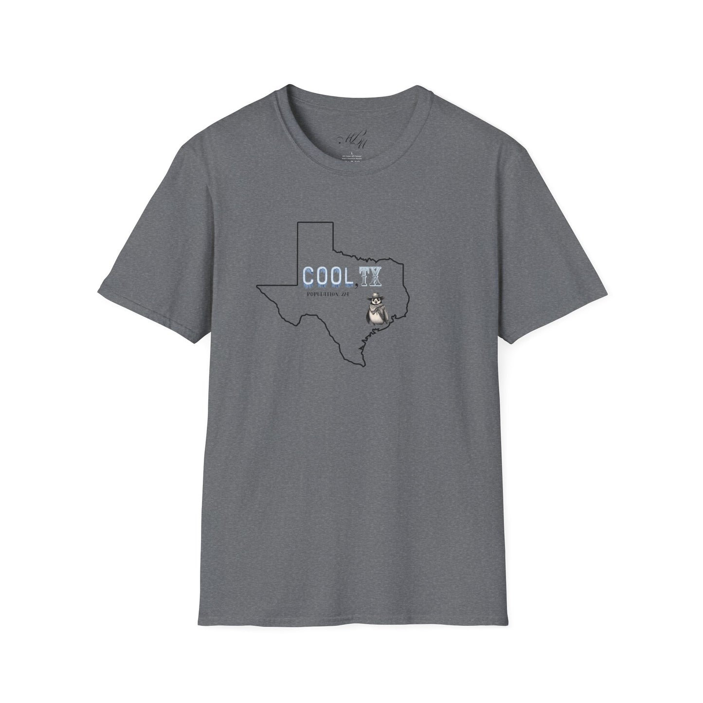 Cooler Than a Blue Norther Tee – Lone Star Chill
