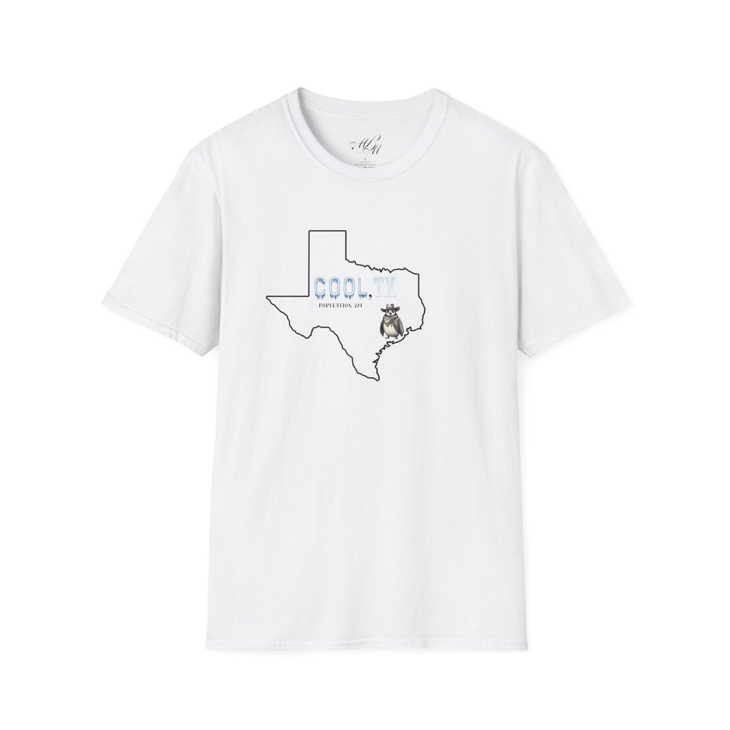 Cooler Than a Blue Norther Tee – Lone Star Chill