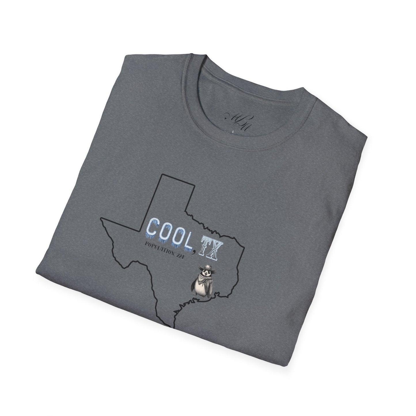 Cooler Than a Blue Norther Tee – Lone Star Chill